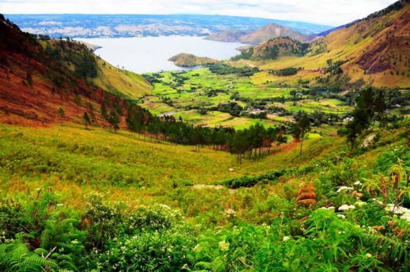 johnnysiahaan@yahoo.com +62811657952