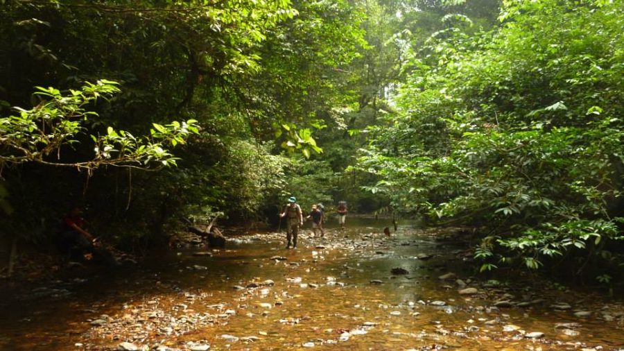 betung-kerihun-national-park