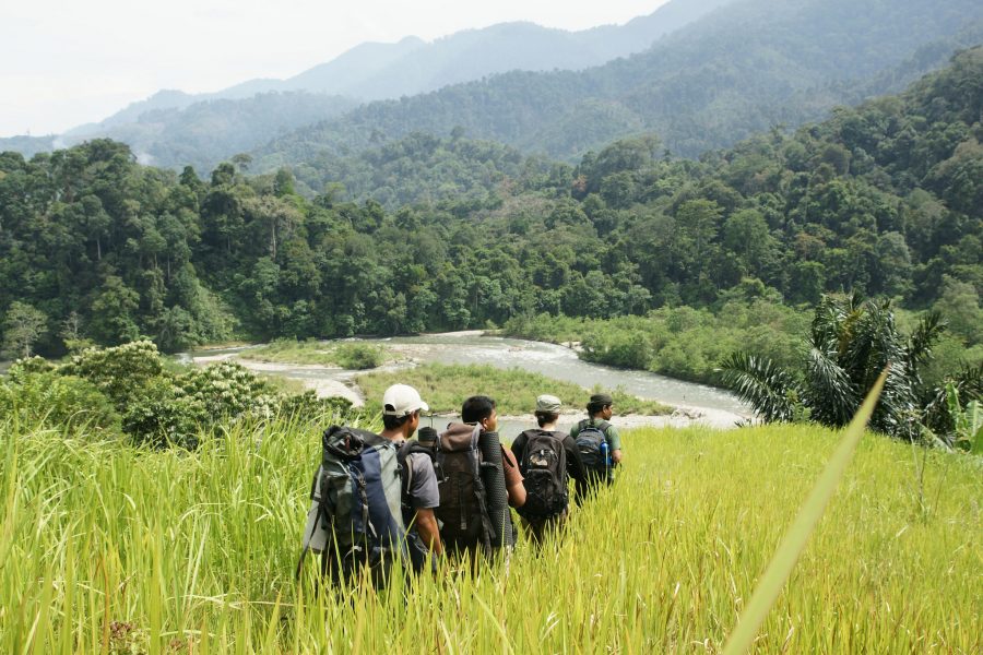 gunung leuser national park