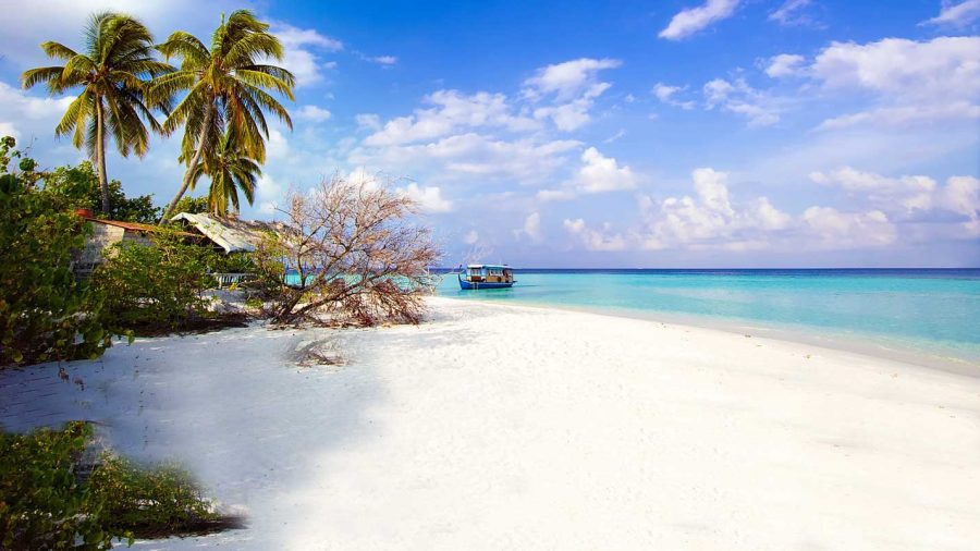 bidadari island flores