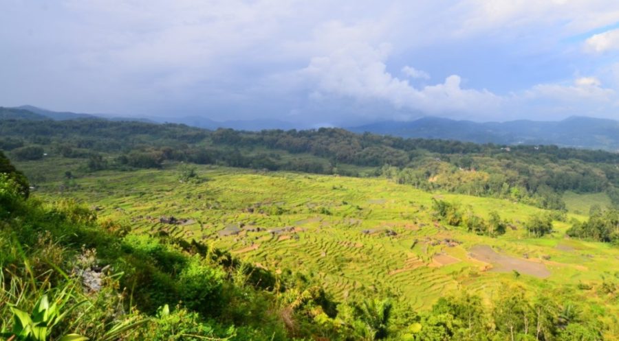 tinambayo tana toraja
