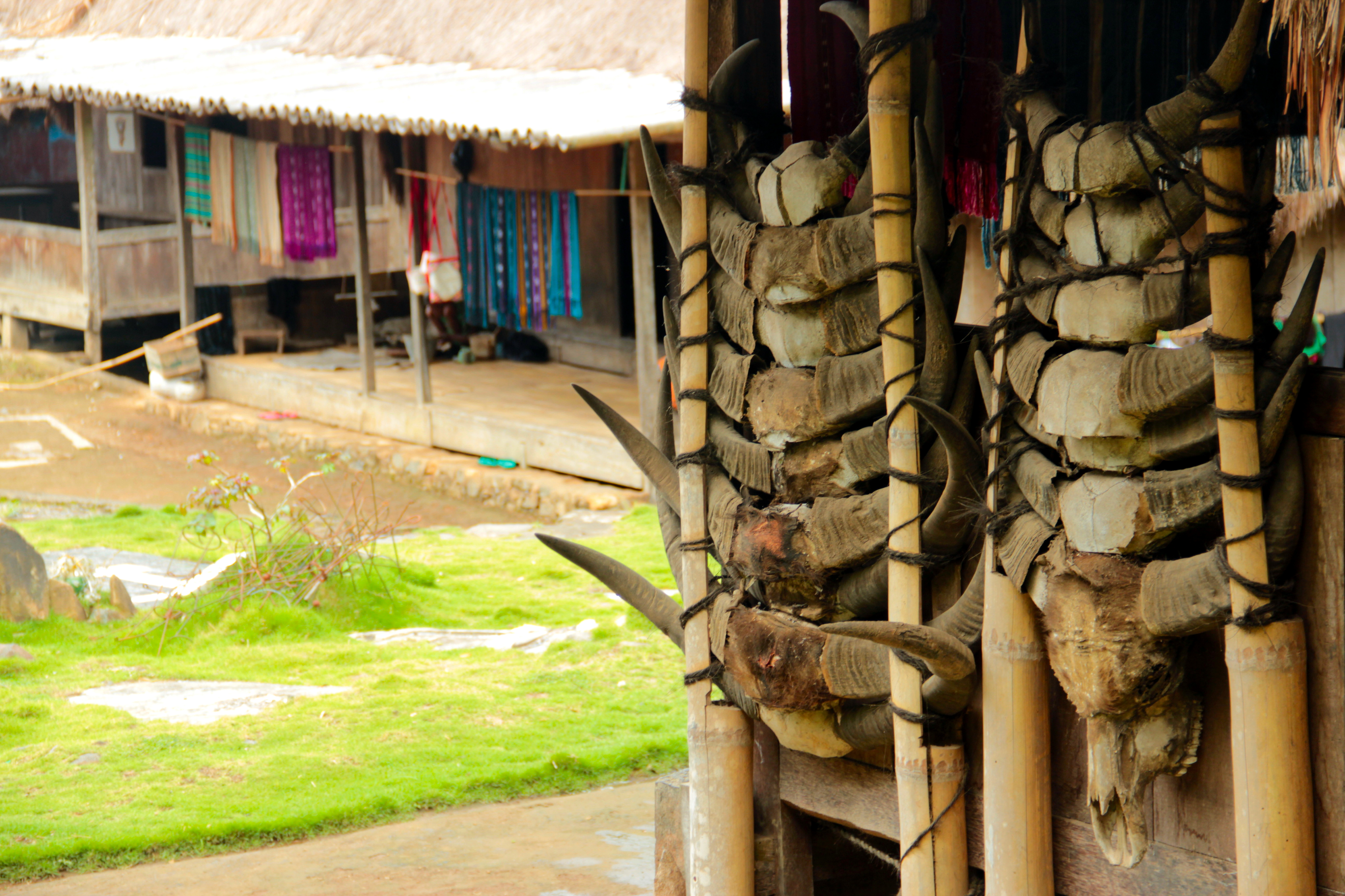 Megalithic Villages Flores