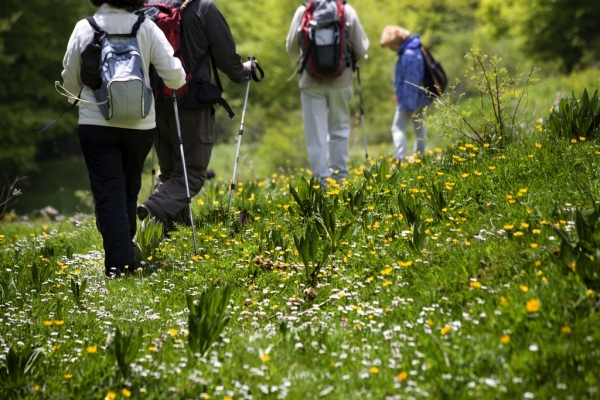 eco-friendly tourism