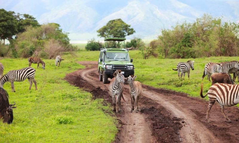 kenya eco tourism destination