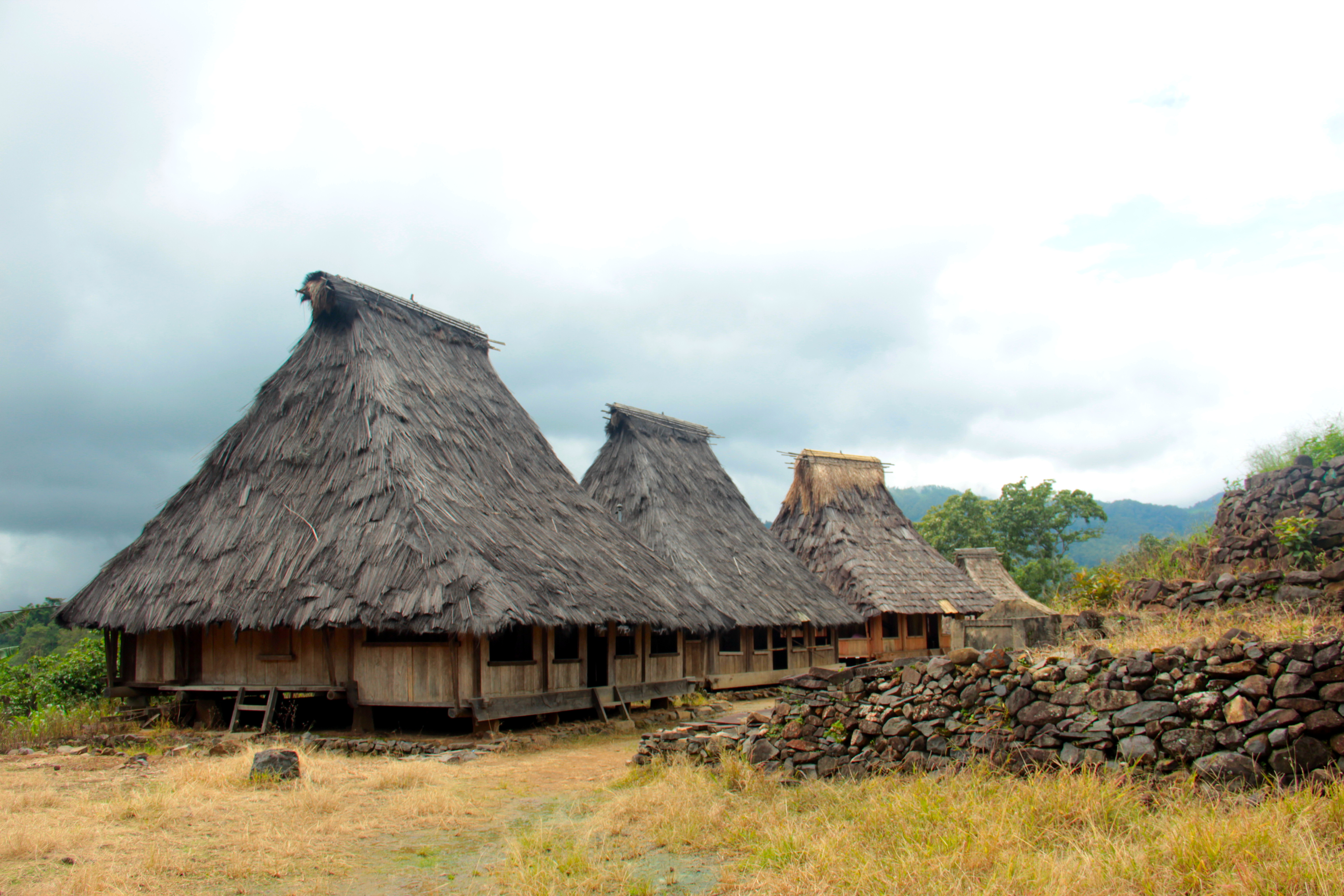 traditional Village Flores