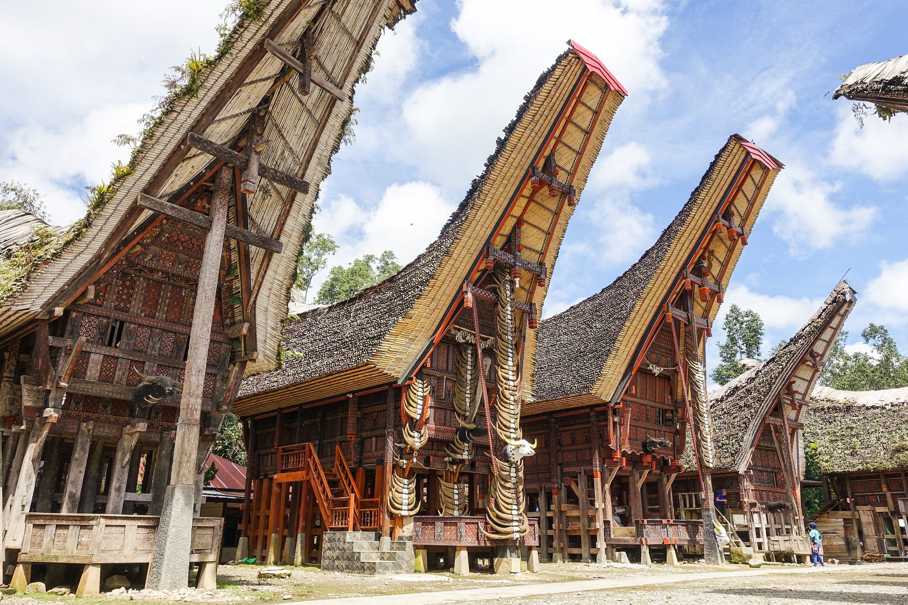local experience in toraja