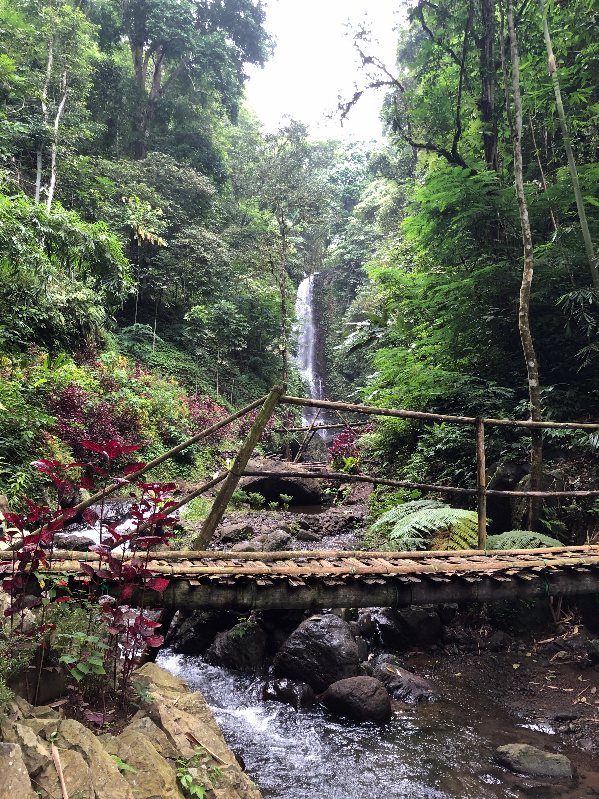Munduk waterfall trekking