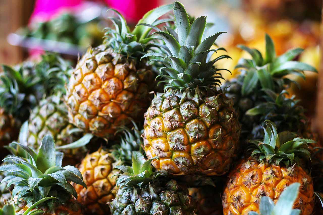 tasty Flores Pineapple