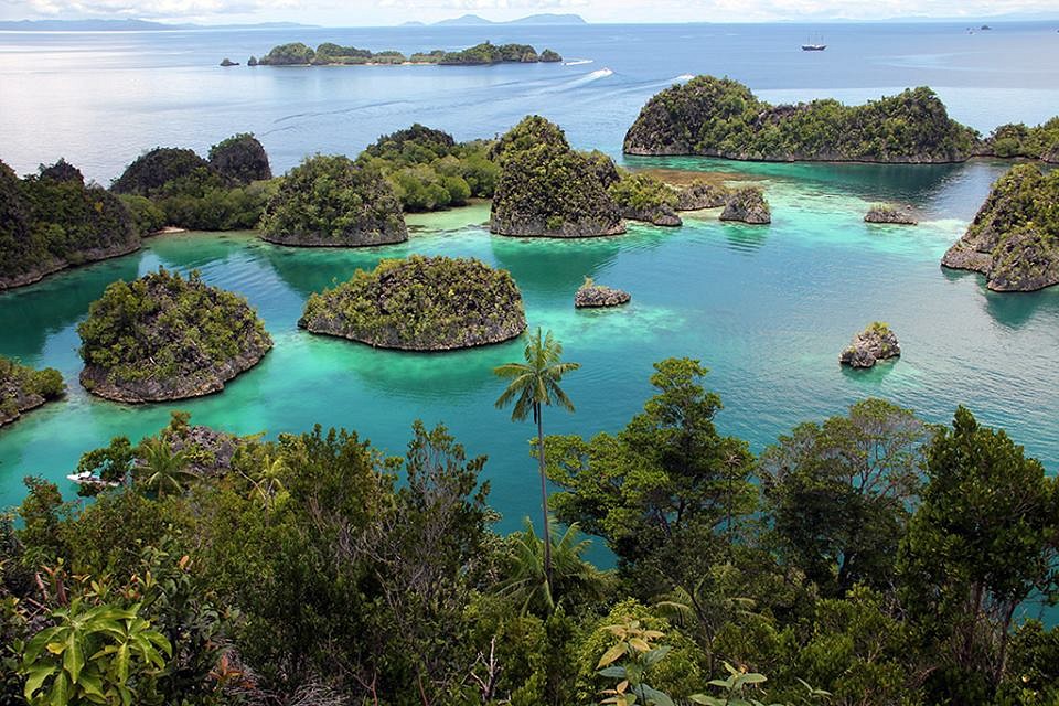 fam island raja ampat