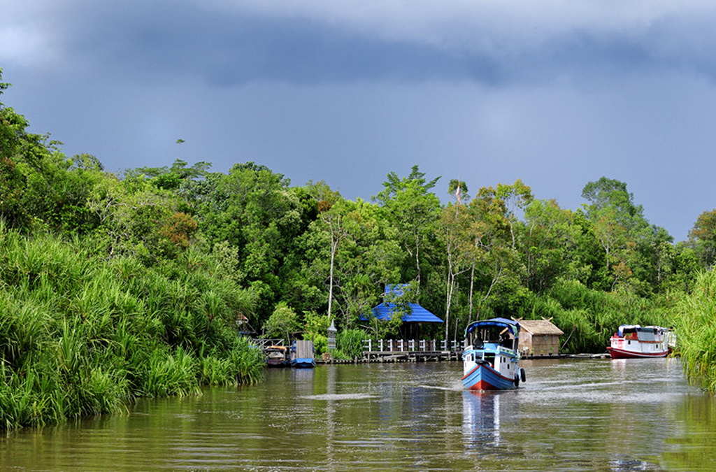 sekonyer-river-Tanjung Puting National Park