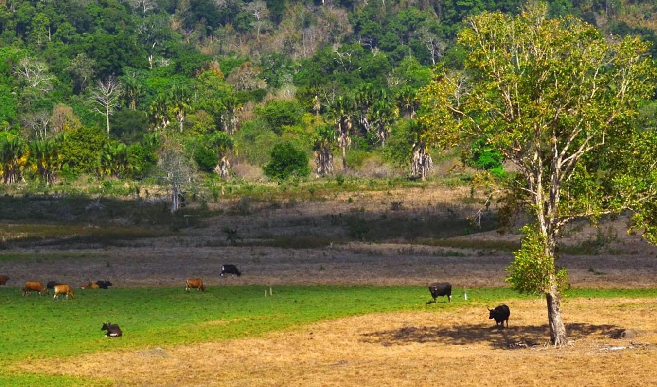 Alas Purwo National Park, East Java