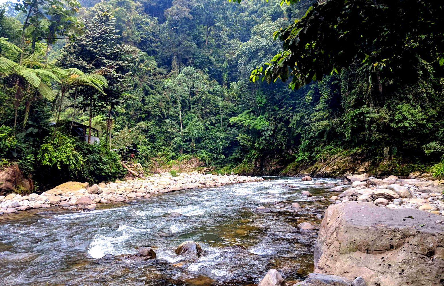Gunung Leuser National Park, North Sumatra