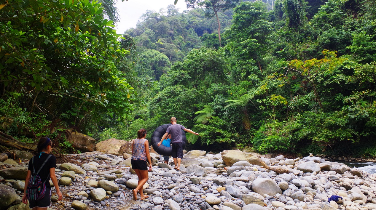 Trekking at Gunung Leuser National Park