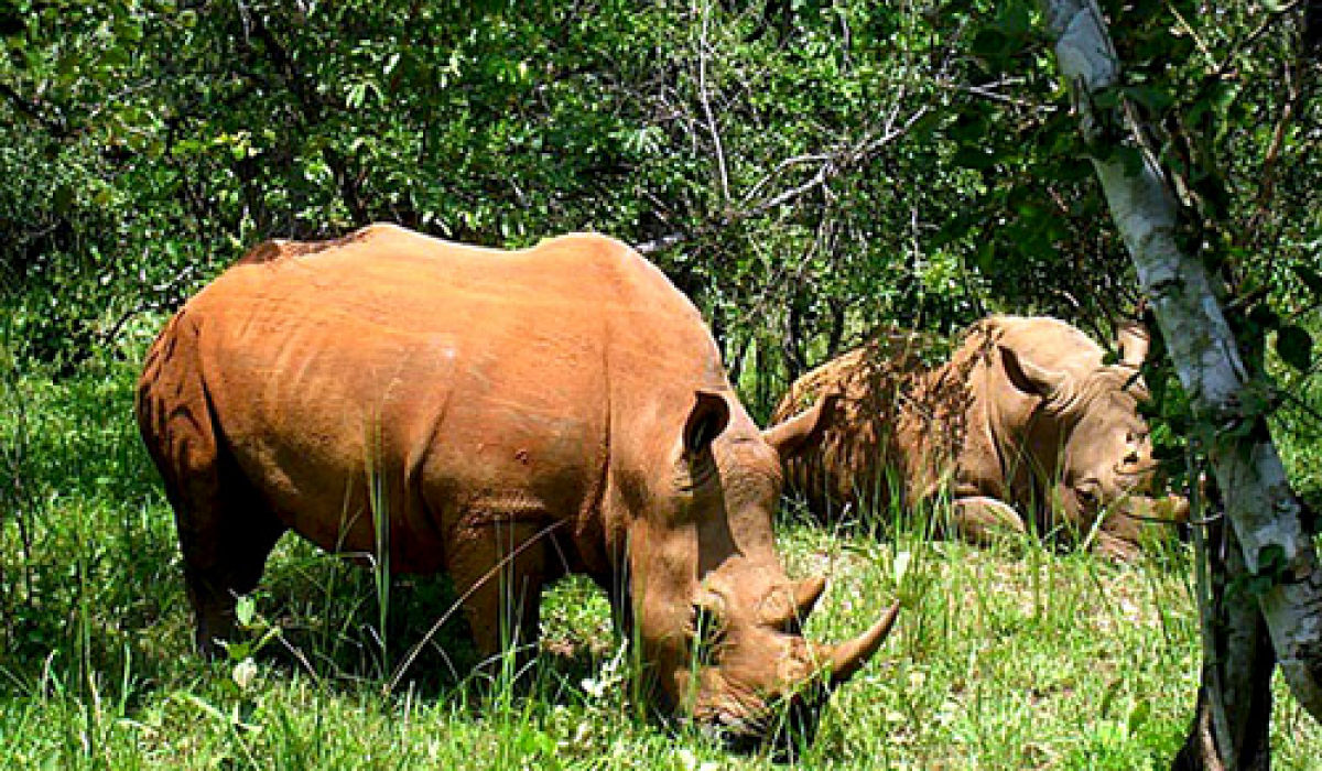 Ujung Kulon National Park, Banten Province