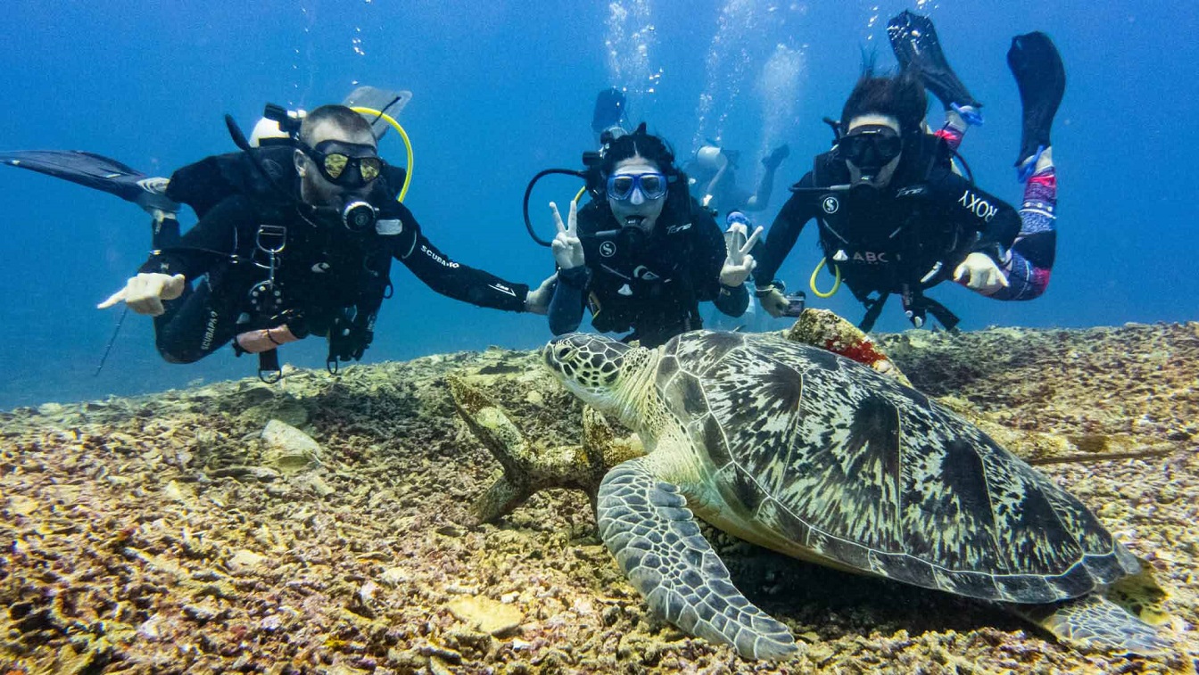 diving is the best things to do in gili meno