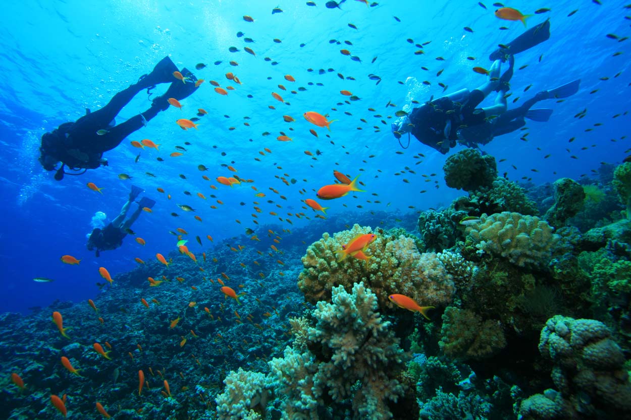 Diving in gili air to explore the underwater beauty of Lombok