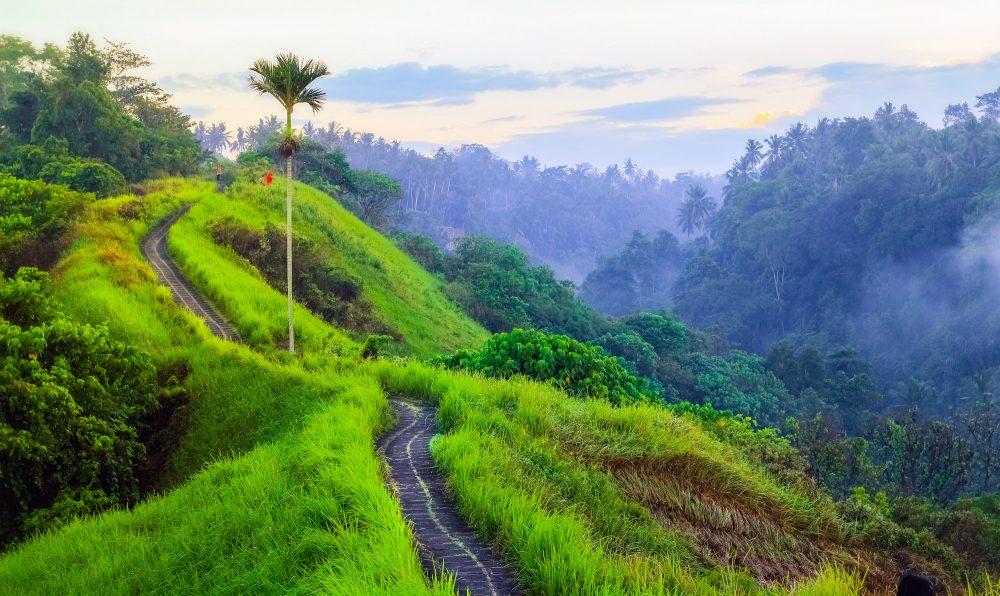 explore the campuhan hill in ubud