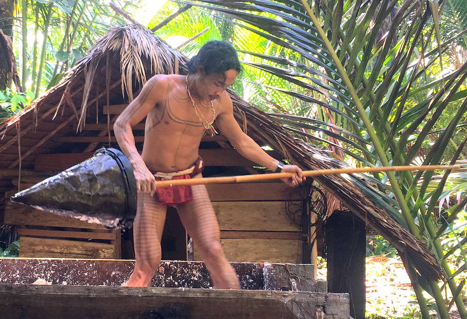 Sago Processing by man in siberut village