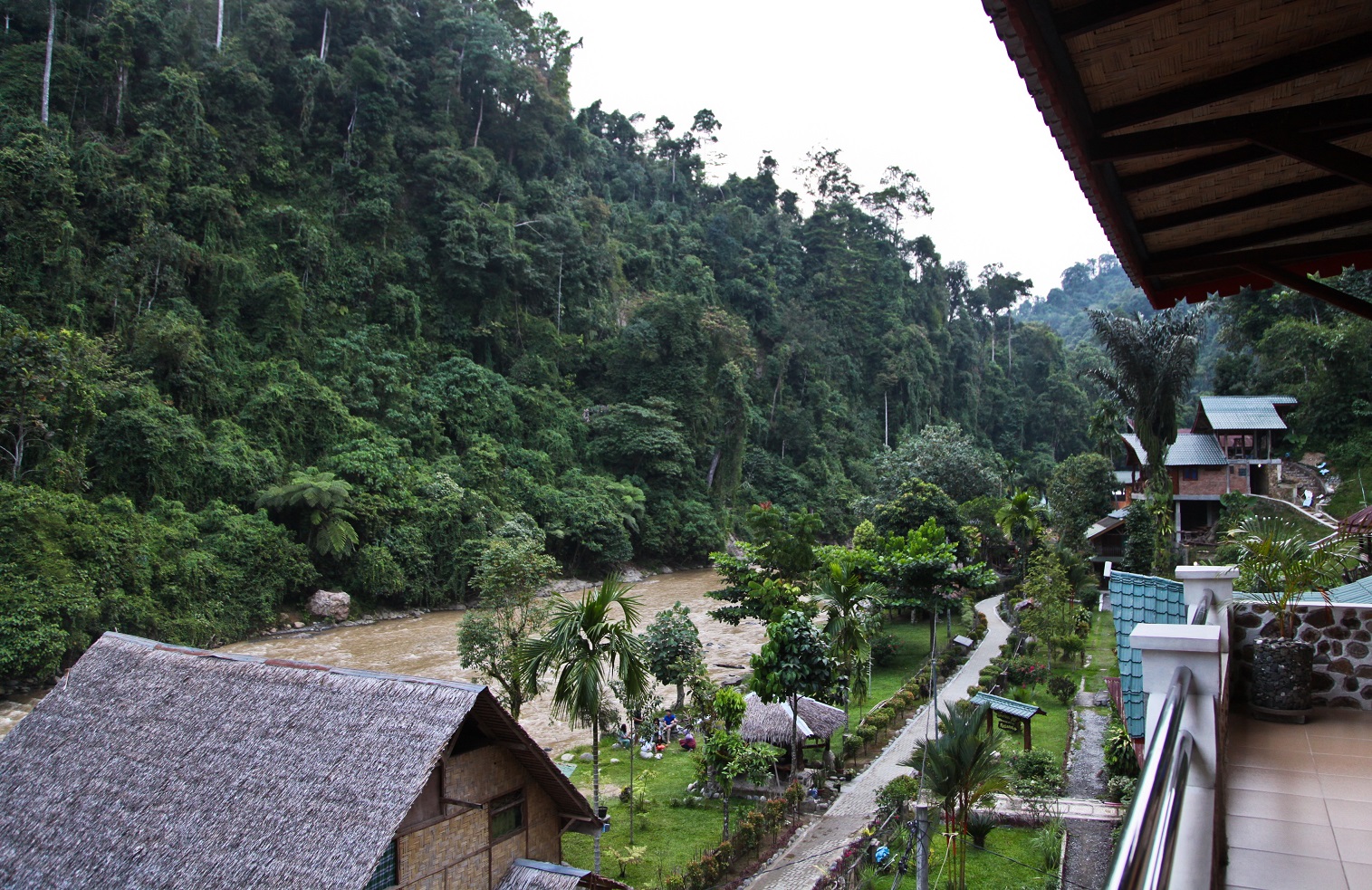 accomodation near the river in leuser national park