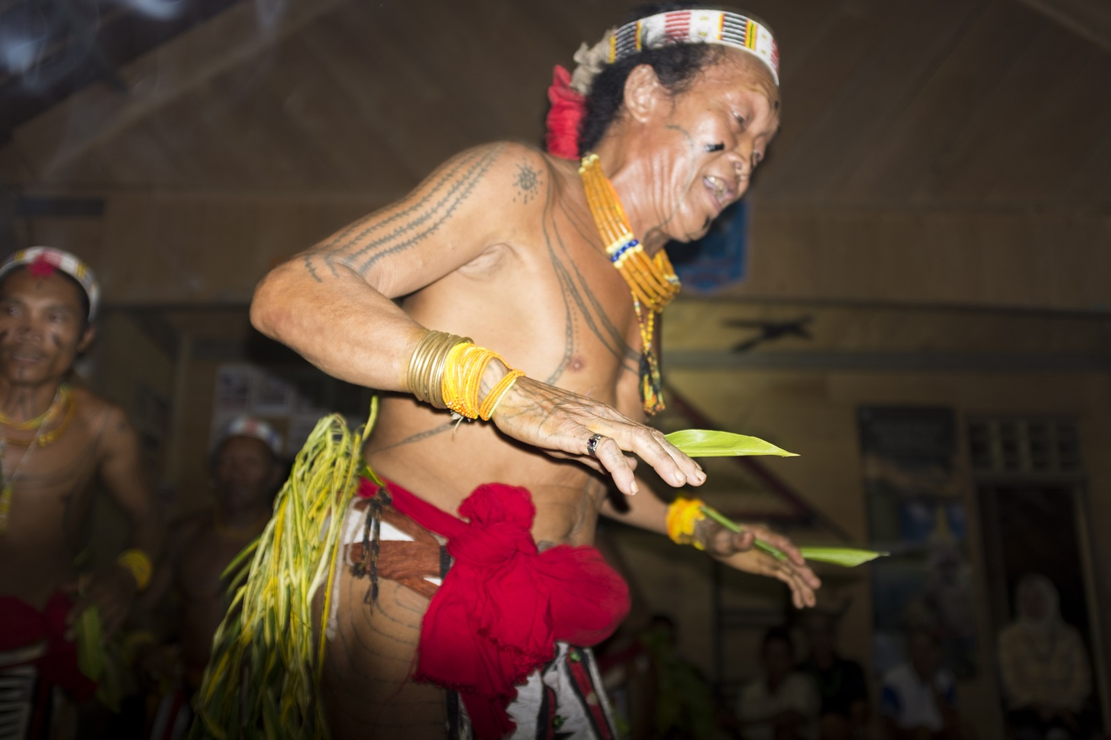 sikerei from mentawai