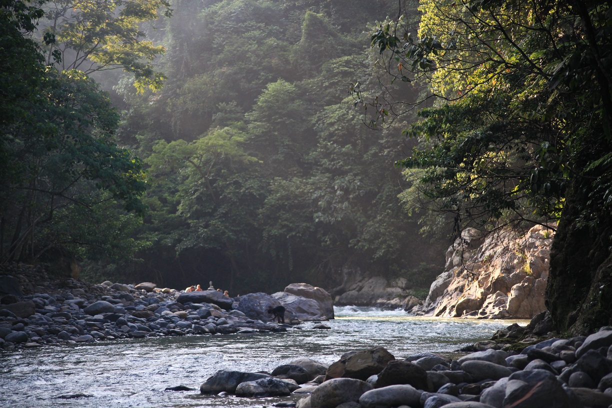 things to do in mount leuser national park