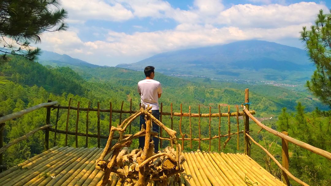 What to do in pine cave malang