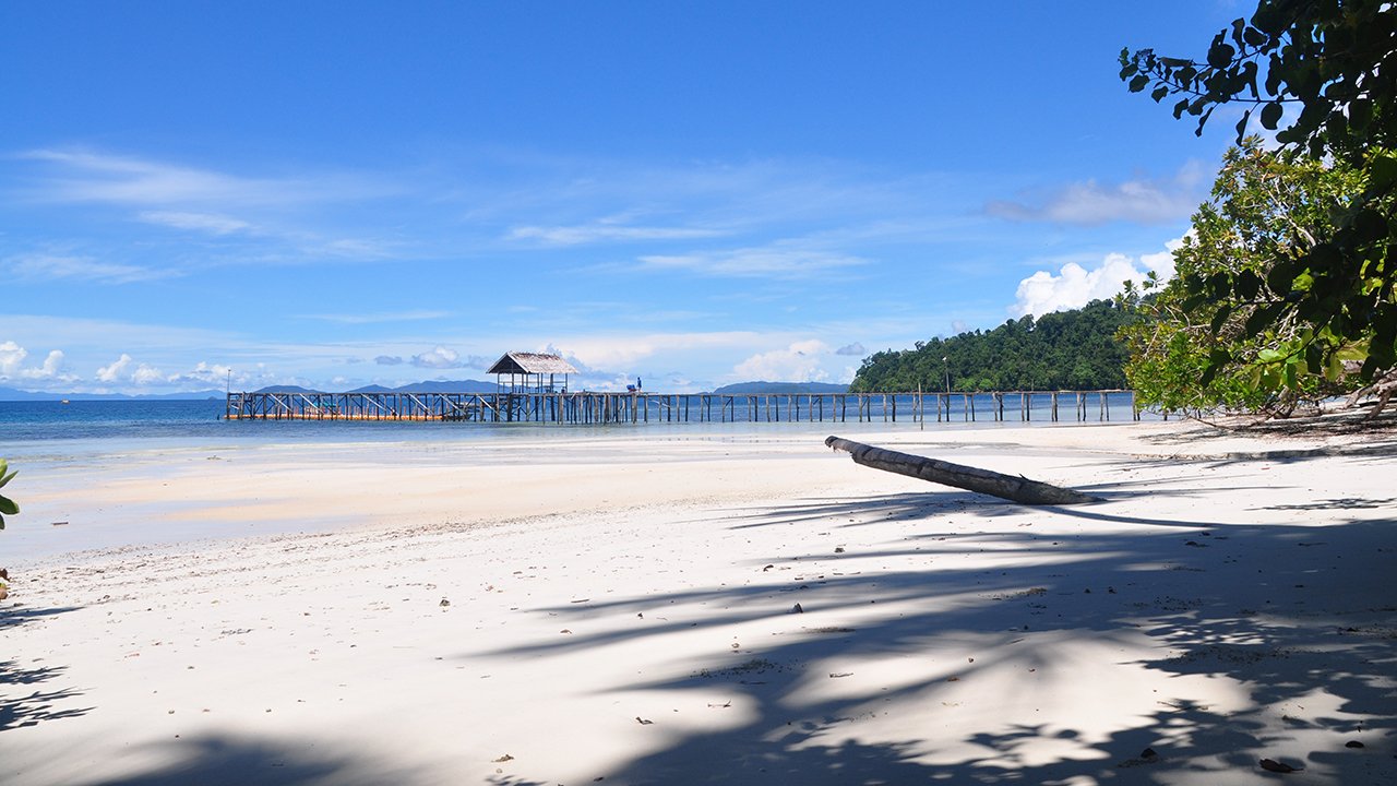 waiwo beach in raja ampat