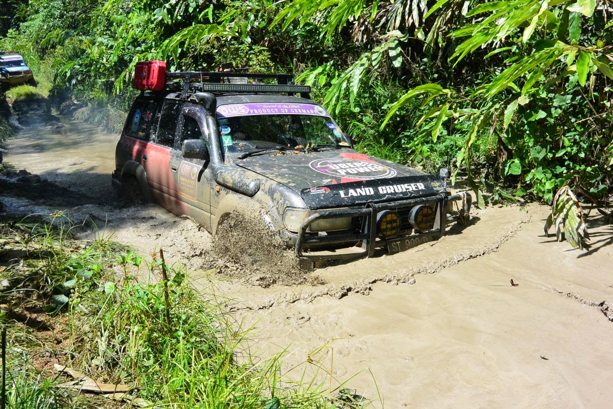 borneo offroad in Seimanggaris Forest