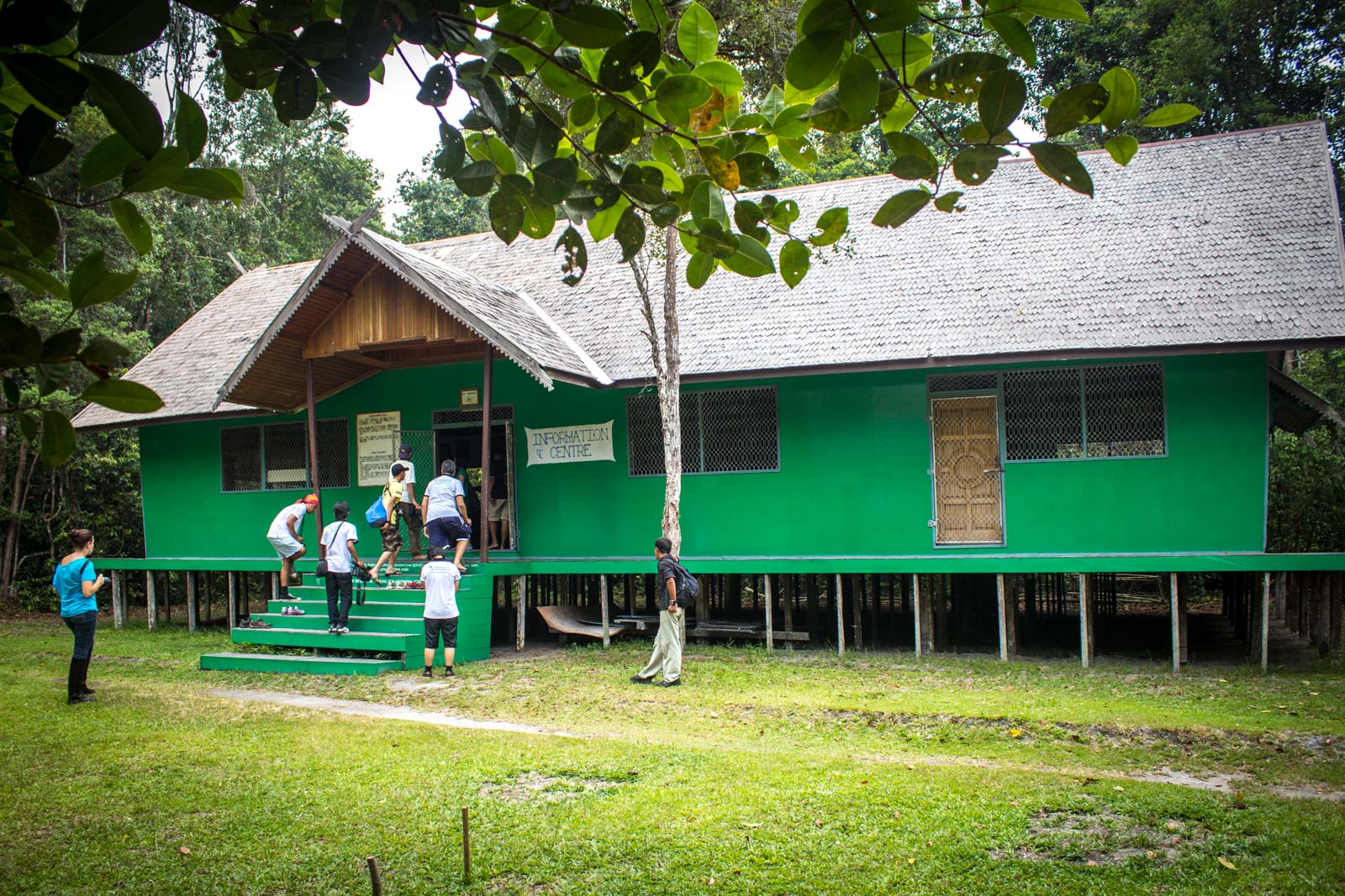 A Glimpse of Camp Leakey