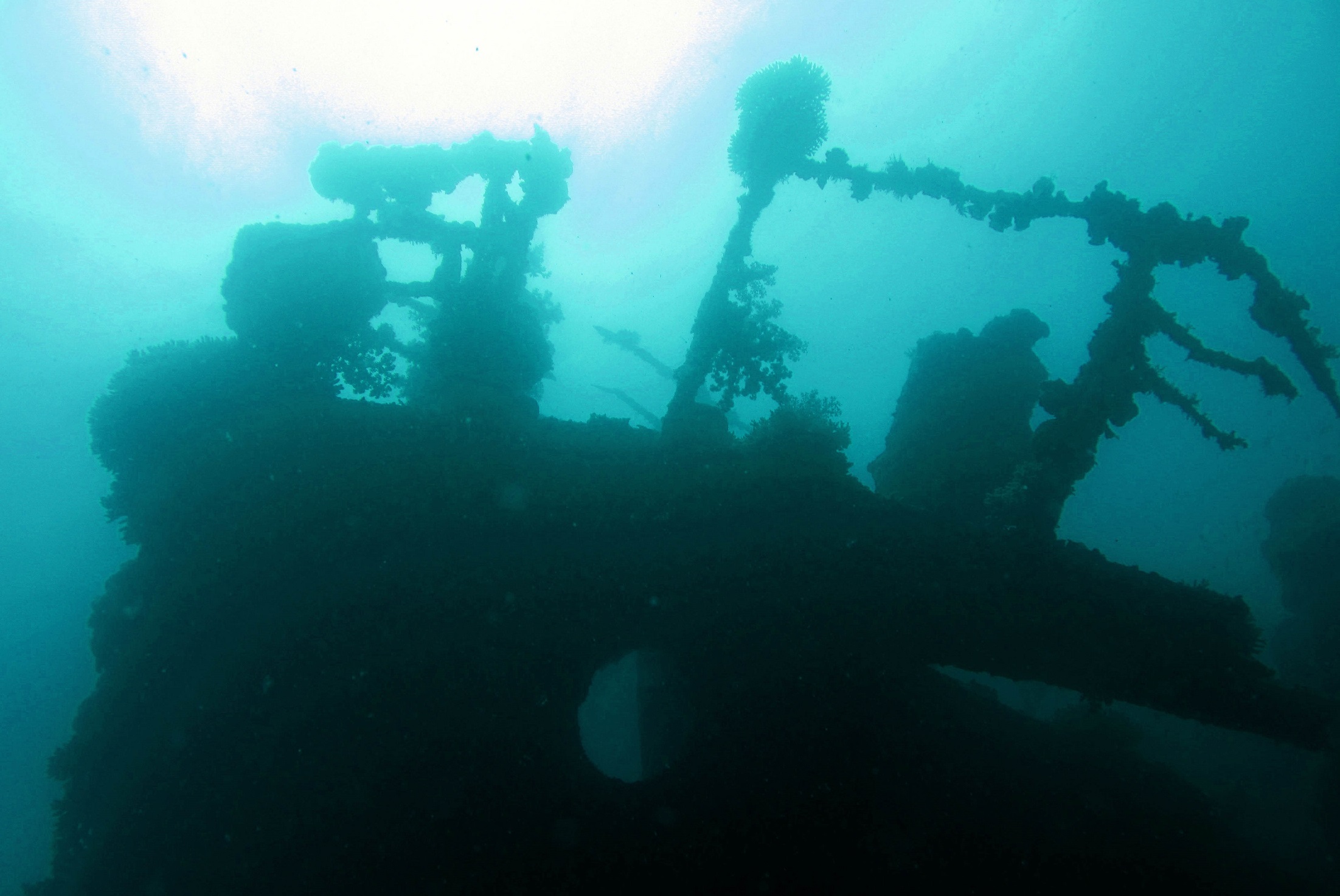 Exploring ship wreck on Kemujan Island