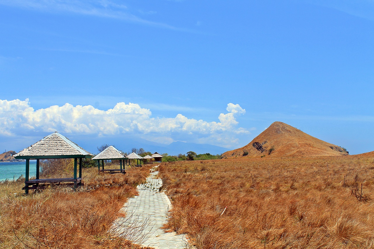 Savanna in Kenawa Island