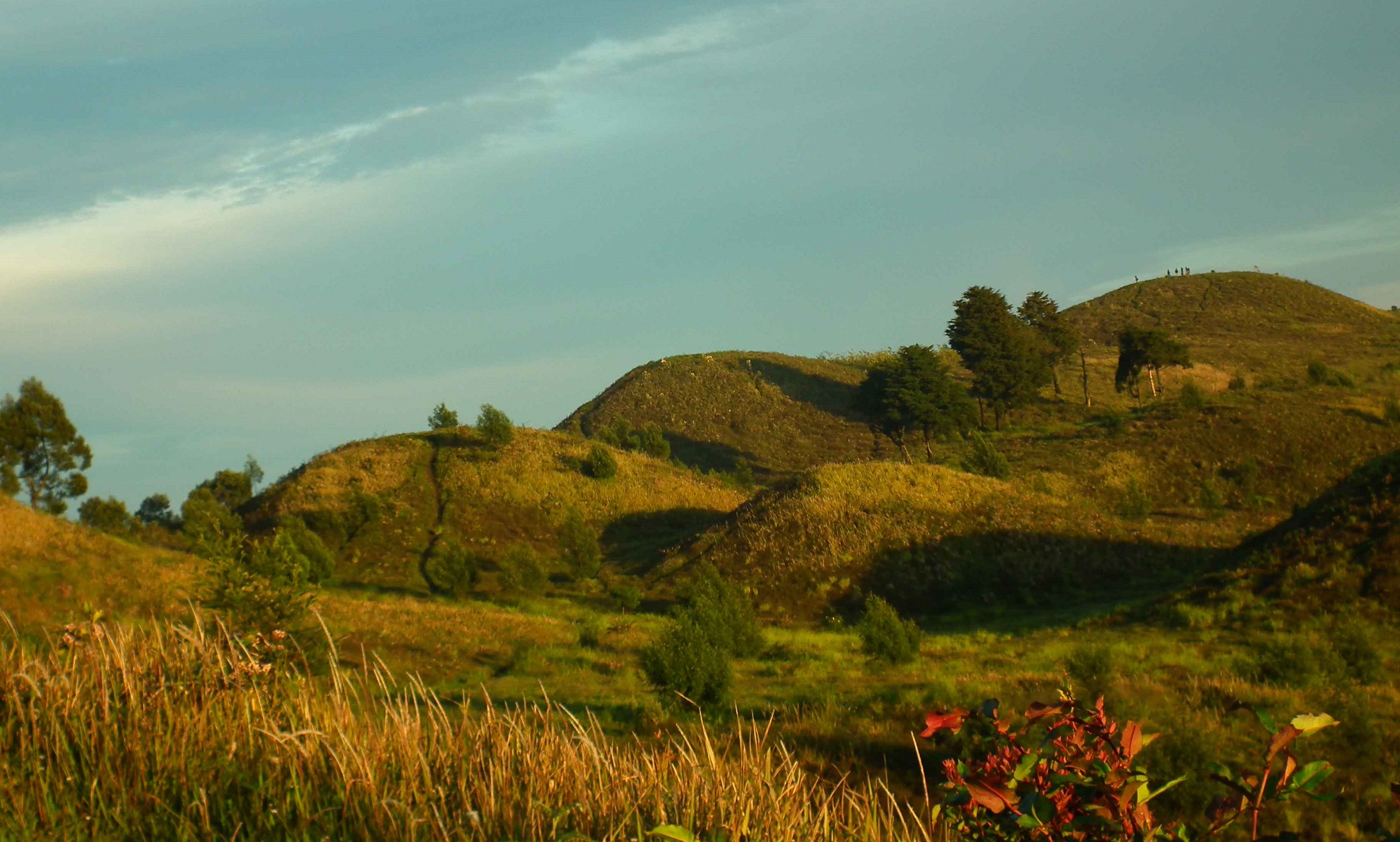 Teletubbies Hill in Mount Prau Wonosobo
