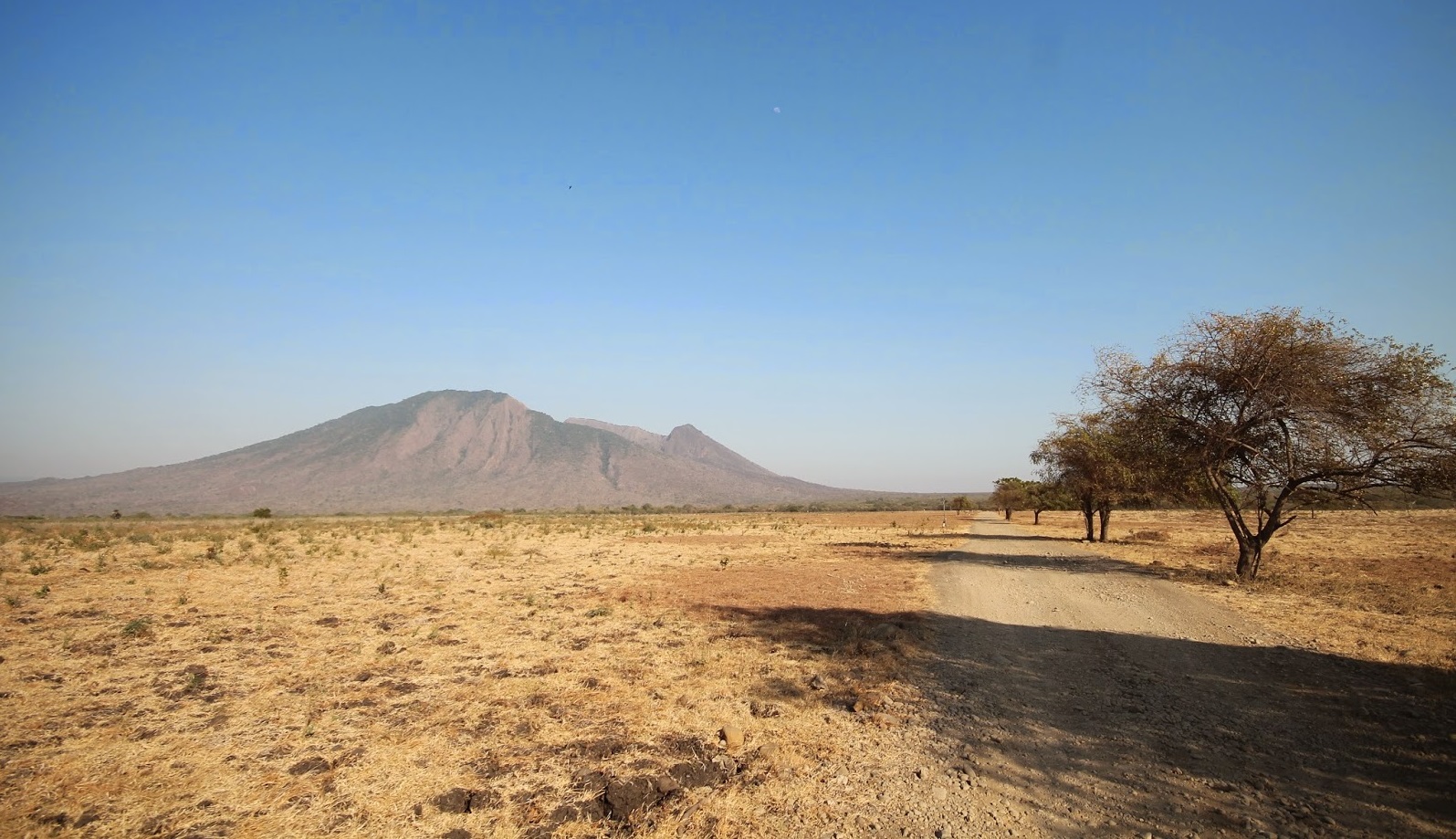 bekol savanna in baluran