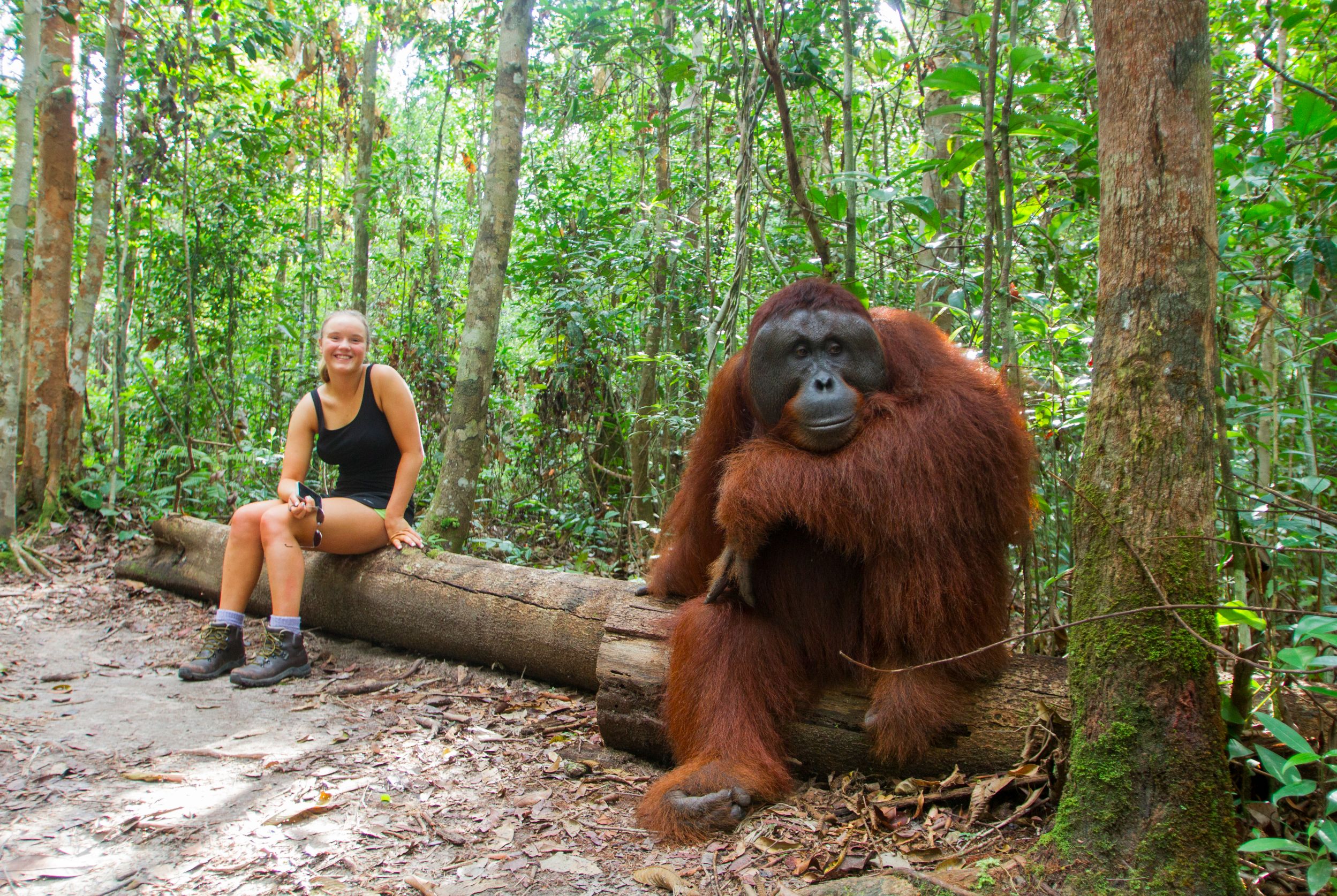 explore camp leakey in borneo