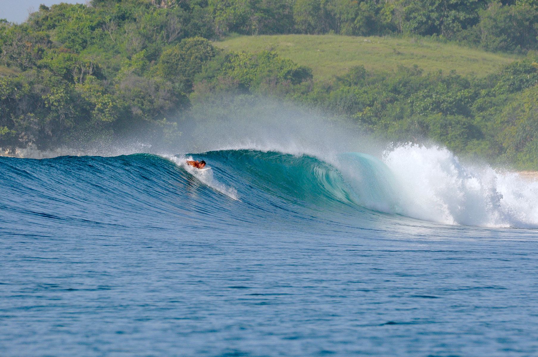 surfing in sumba