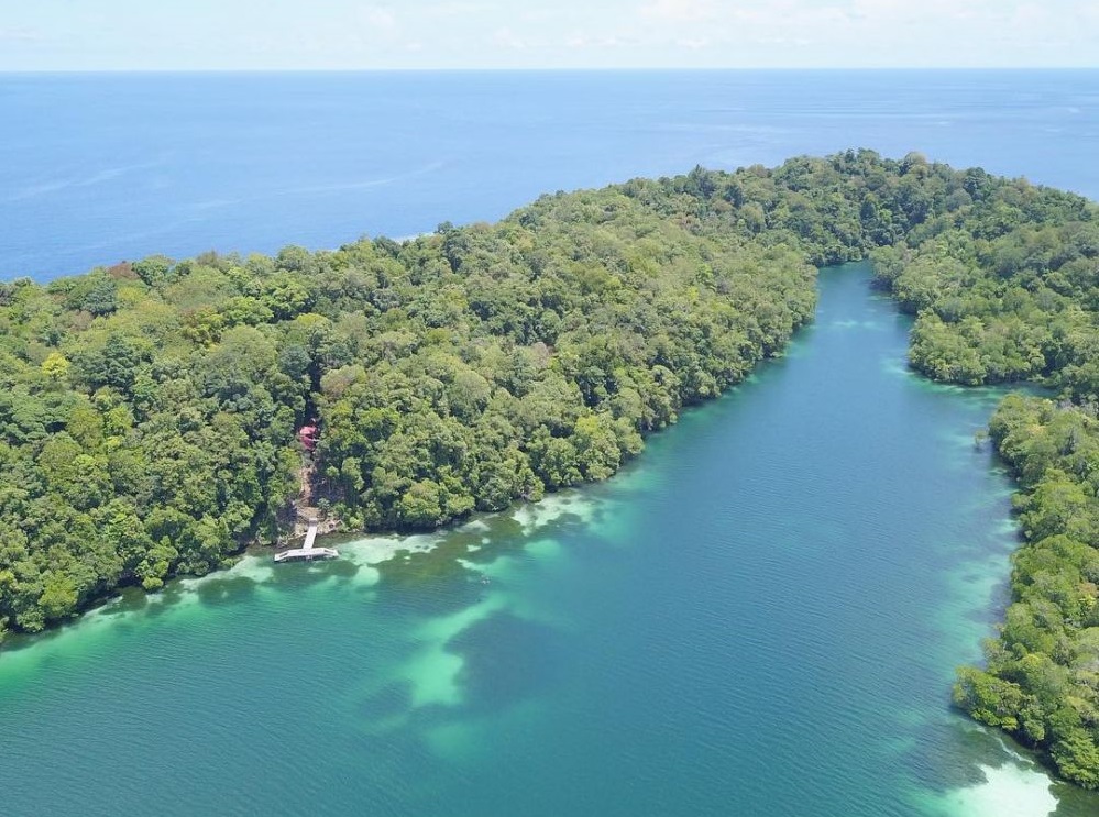 kakaban lake where the jellyfishes live