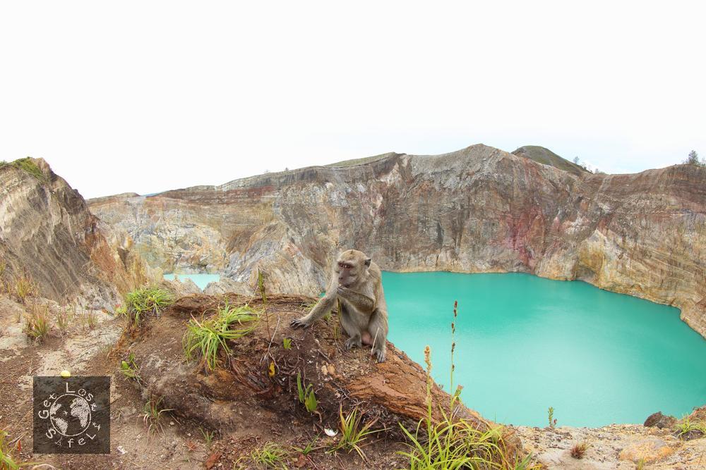 kelimutu guardian monkeys
