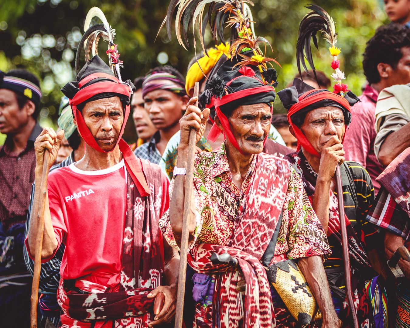 sumba unique tradition