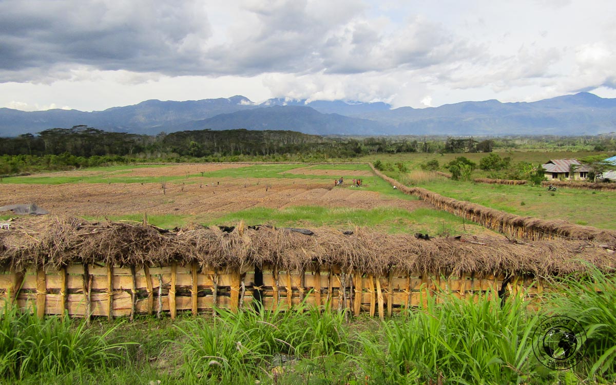 trekking to baliem valley in papua