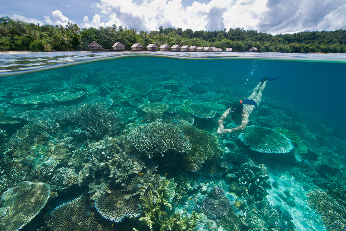 a guide to raja ampat diving