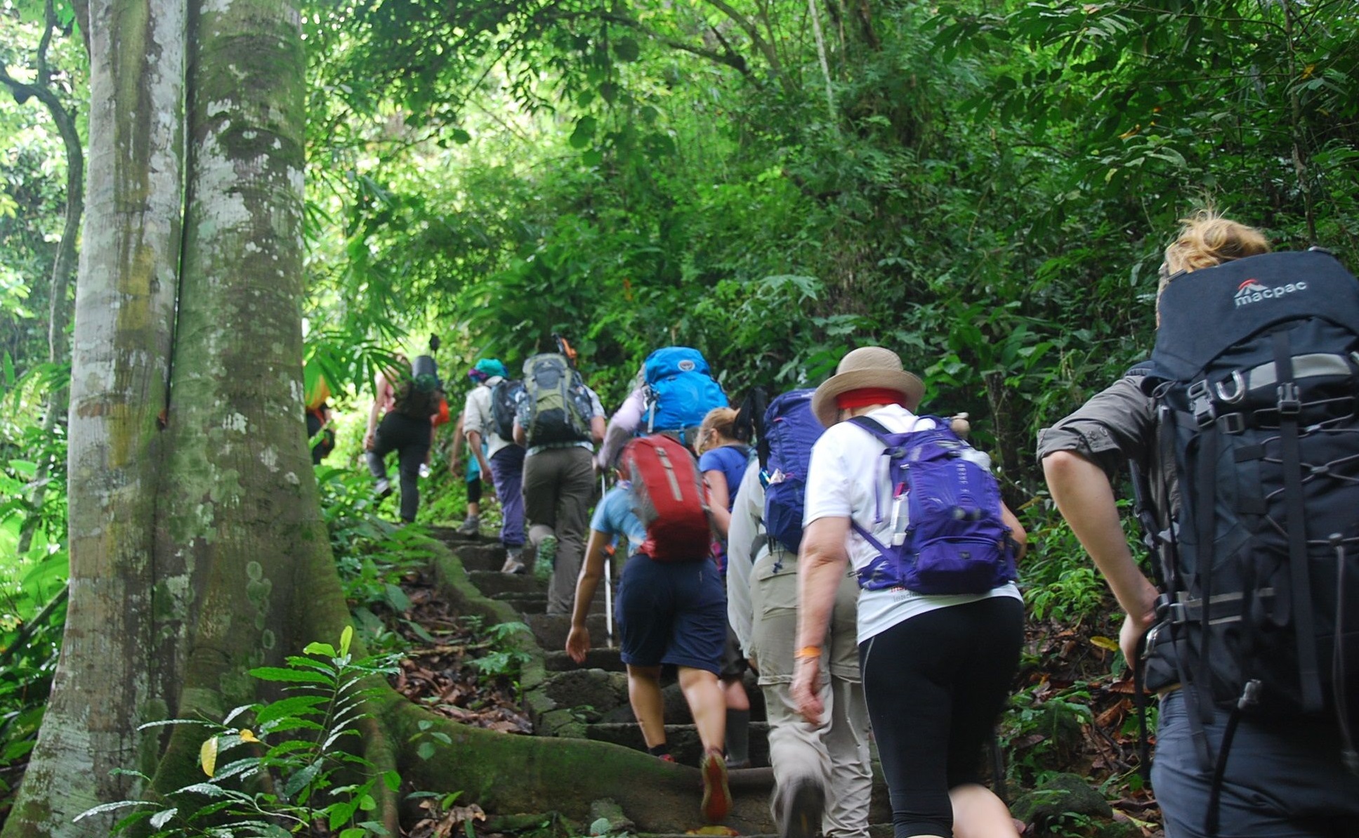 jungle trekking adventure