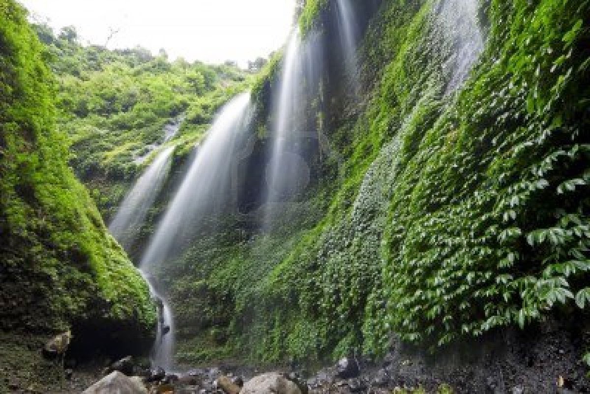 madakaripura waterfall in bromo tengger semeru national park area