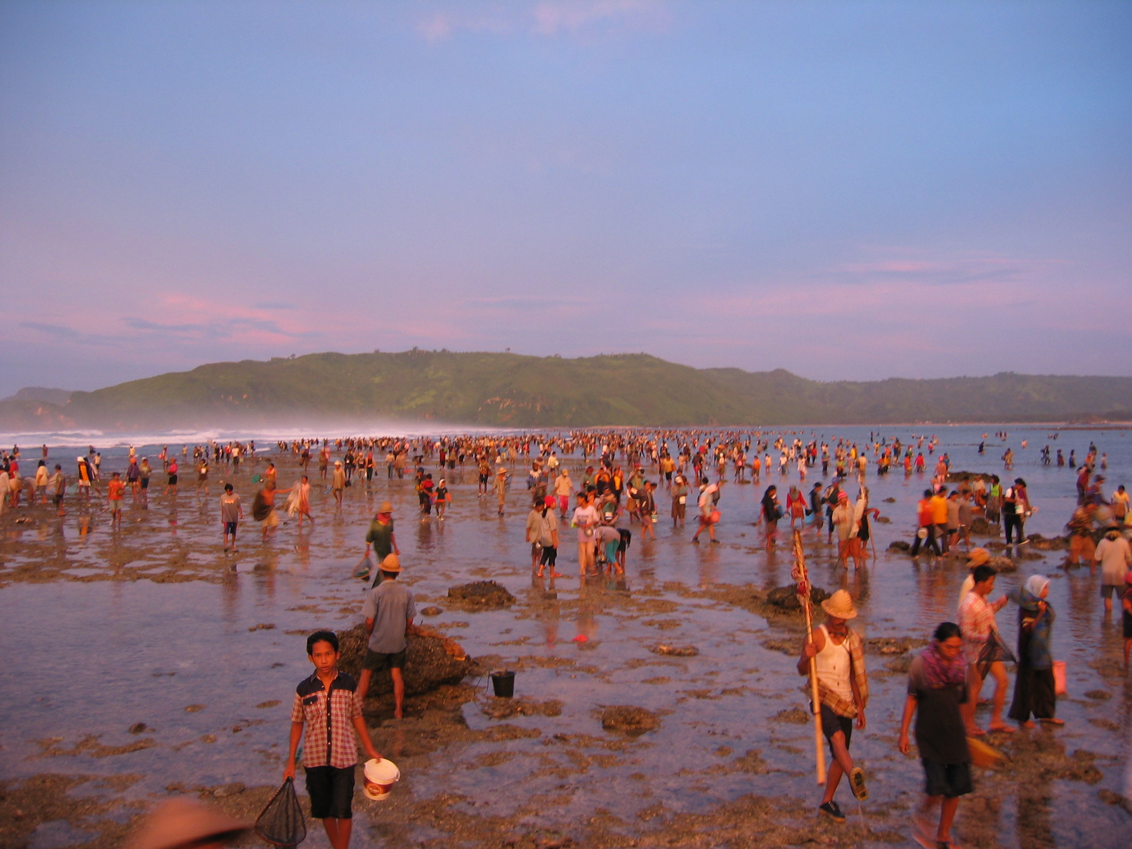 catching sea worms in bau nyale festival in lombok