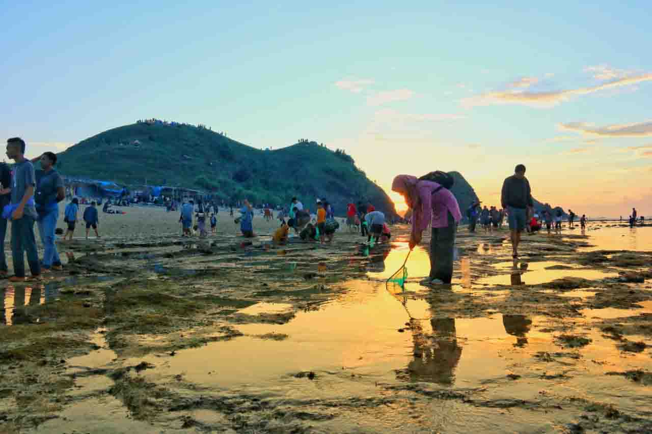 hunt for nyale sea worms in bau nyale festival