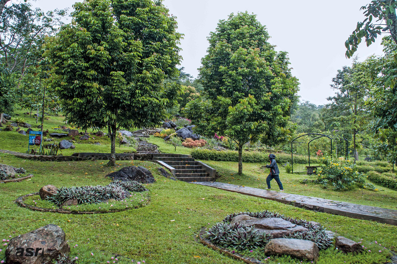 kuningan botanical garden in west java