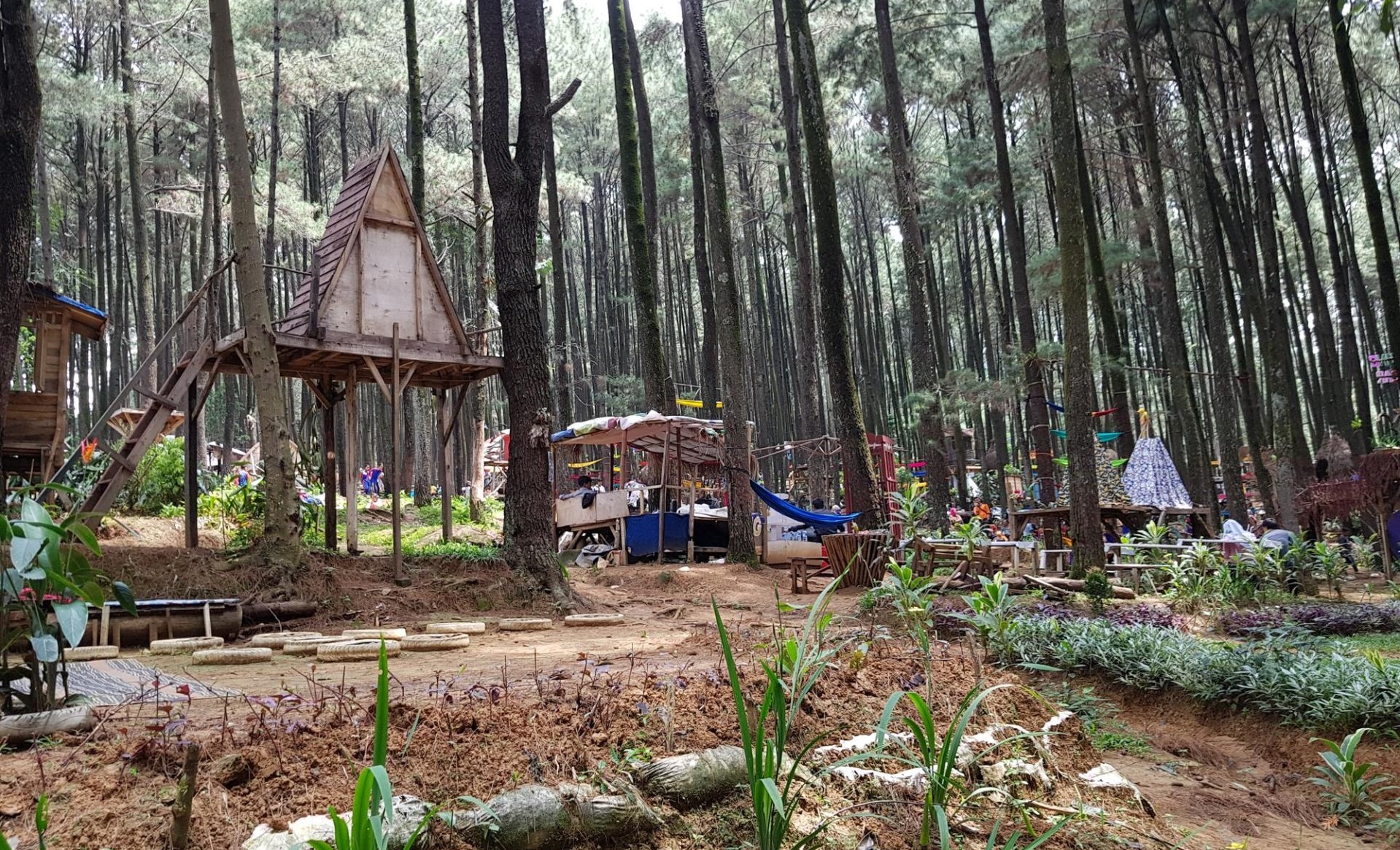 mount pancar natural hot water in bogor