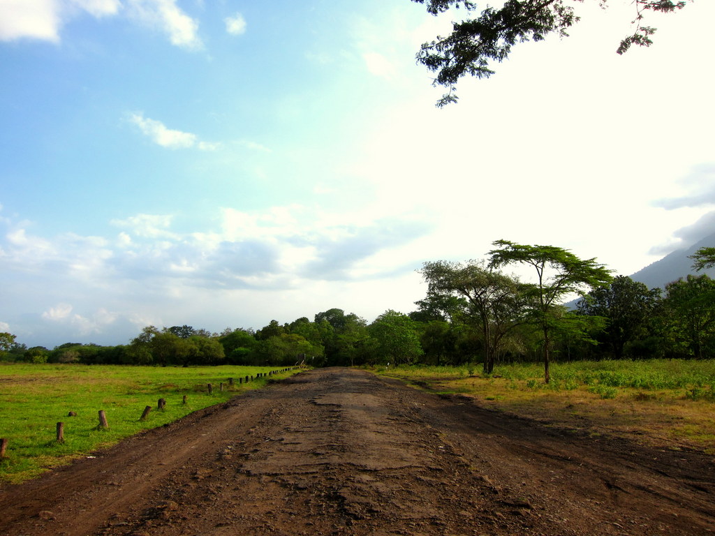 visit Baluran National Park in Banyuwangi