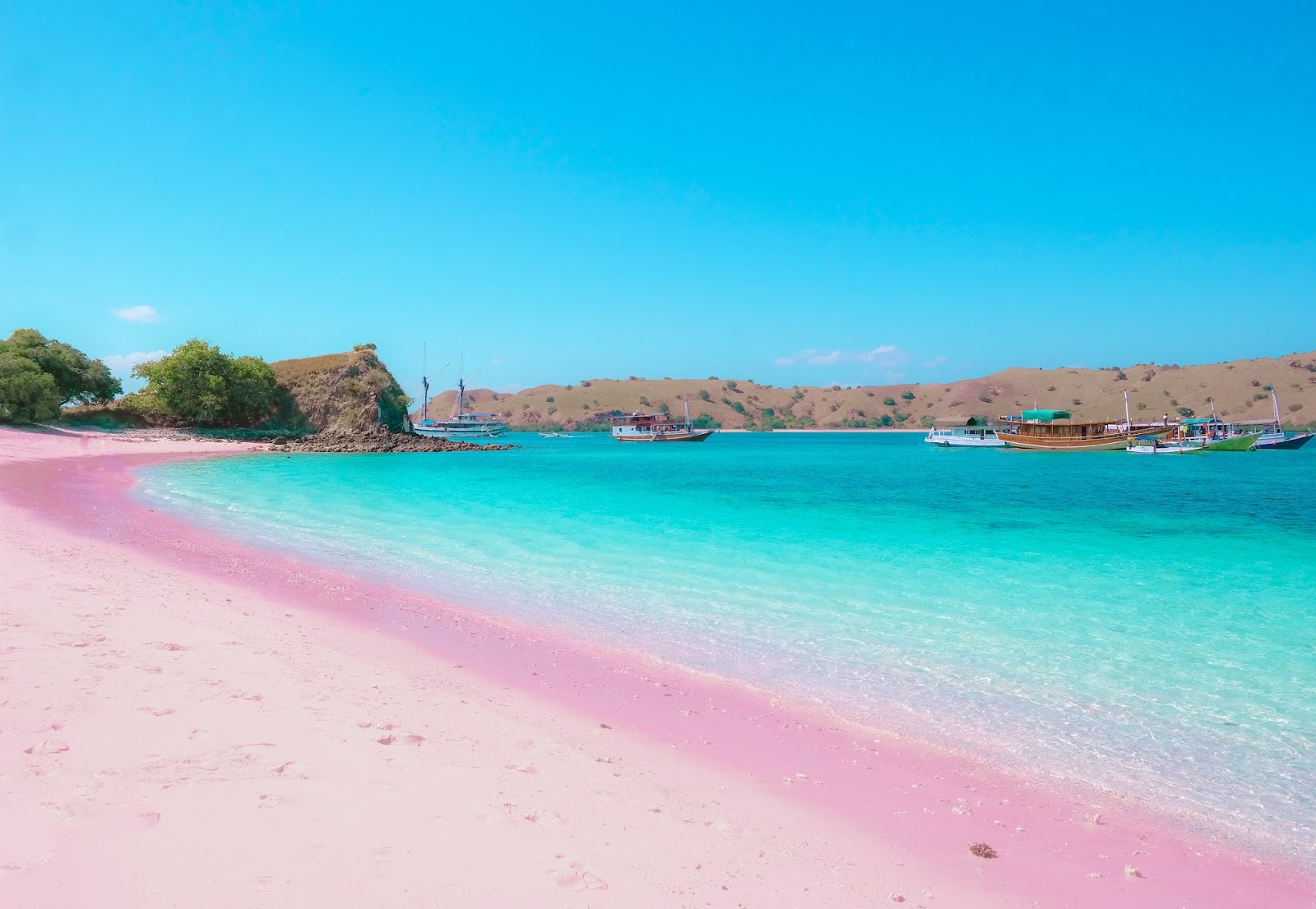 the pink komodo beach