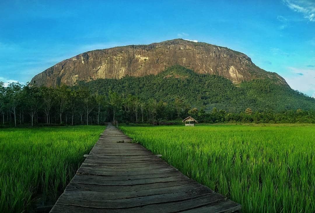 kelam hill tourist attraction in borneo