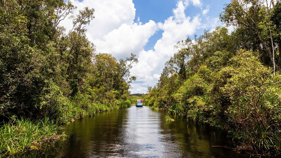 tanjung puting national park tourist attraction